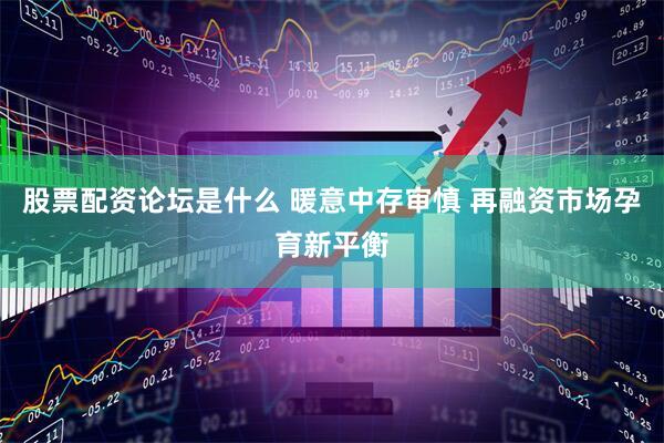 股票配资论坛是什么 暖意中存审慎 再融资市场孕育新平衡